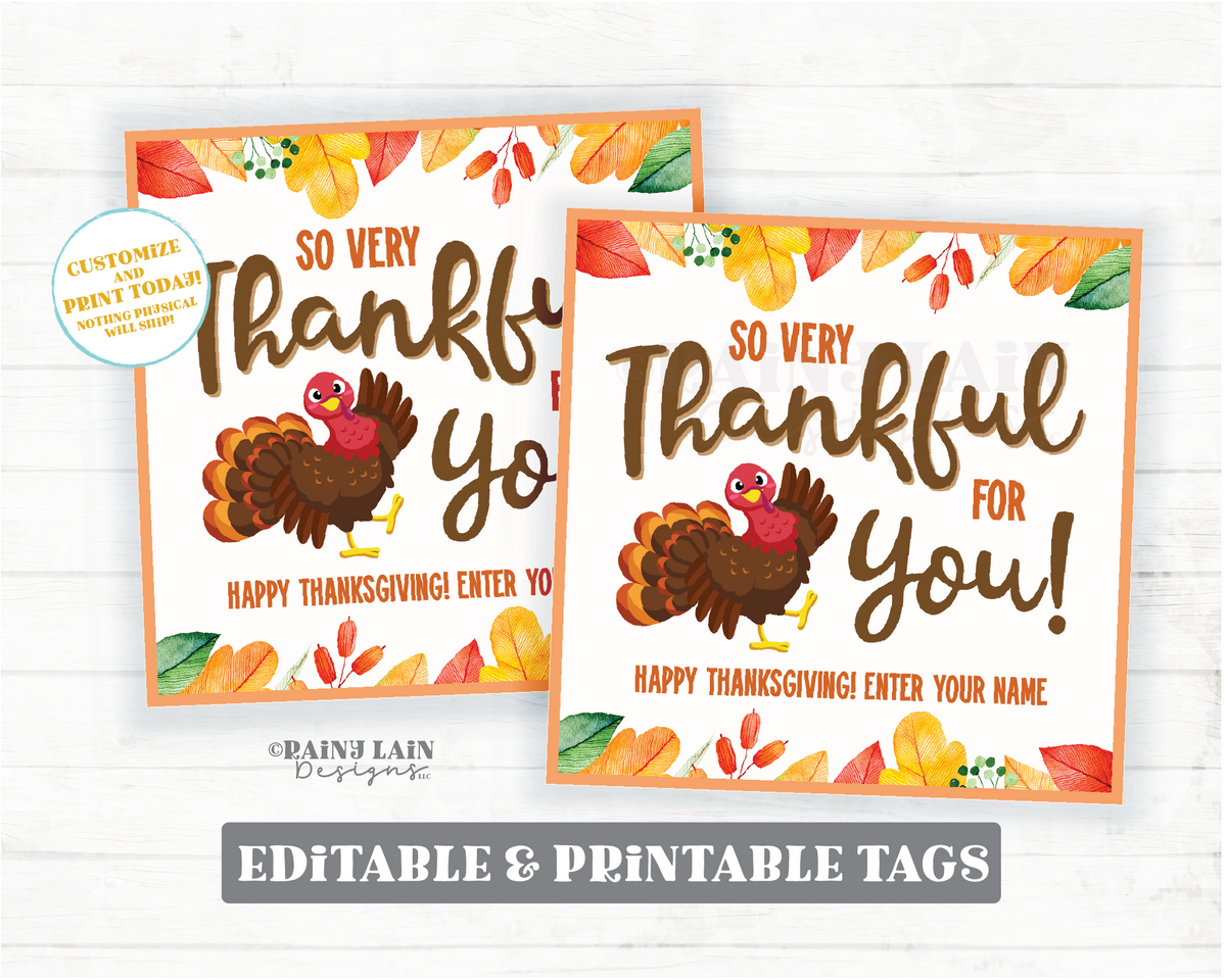 So Very Thankful for You Tag Printable Appreciation Gift Employee Co-W ...
