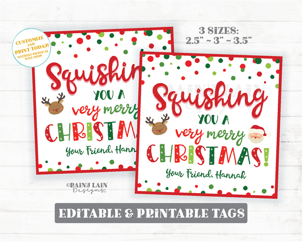 Squishing You a Merry Christmas Squishies Holiday Gift Squishy Toy Squishee Printable Kids Squishies Winter Break Editable Tag