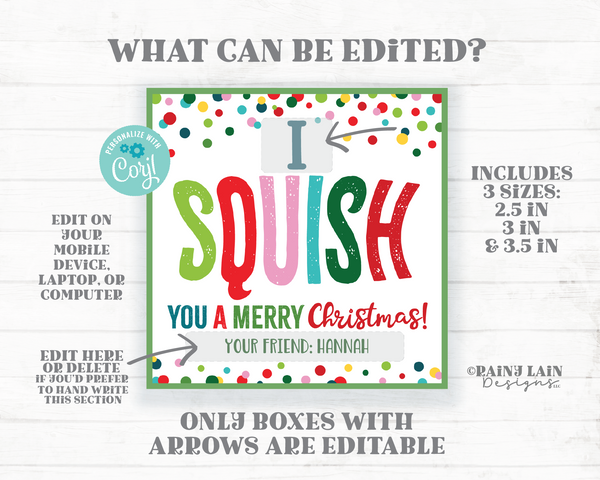 Squish You a Merry Christmas Squishies Christmas Gift Holiday Printable Kids Squishies Squishy Toy Squishee Winter Break Editable Tag