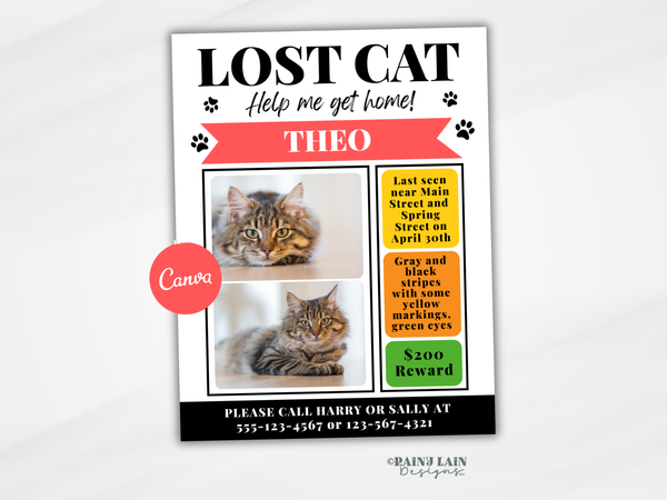 Editable Lost Dog Flyer Template, Printable Missing Cat Poster, Downloadable and Editable Sign