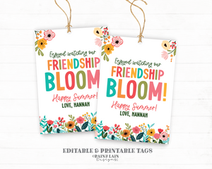 Friendship Bloom Gift Tag, Editable Student Tags, Summer Classmate Gift Tags, Spring Classroom, Flowers, Floral, PTO gift tags