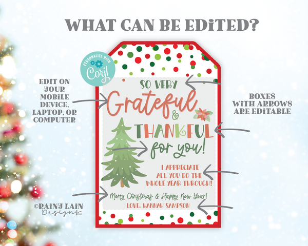 Christmas Thank You Gift Tag, Editable Printable Template, Holiday Appreciation, Staff Employee Teacher Nurse Volunteer School PTO, Confetti