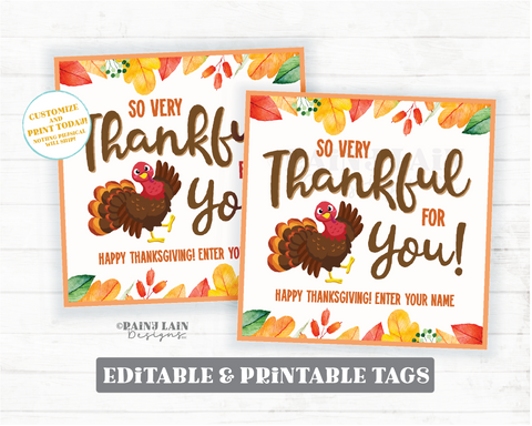 So Very Thankful for You Tag Printable Appreciation Gift Employee Co-Worker Student Teacher Friend Principal Nurse Thanksgiving Turkey