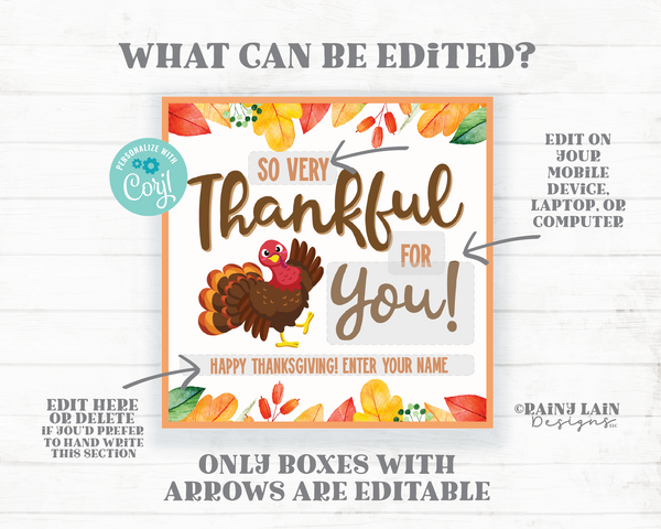 So Very Thankful for You Tag Printable Appreciation Gift Employee Co-Worker Student Teacher Friend Principal Nurse Thanksgiving Turkey