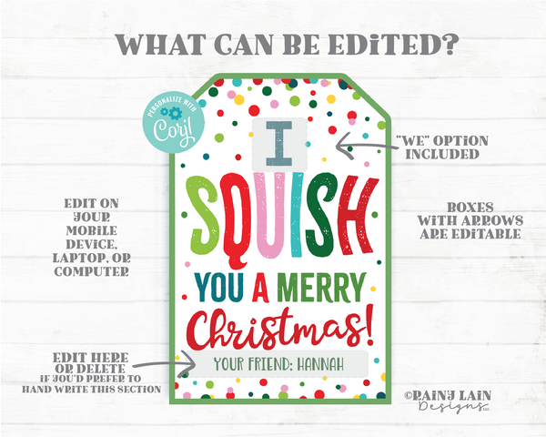 Squish You a Merry Christmas Squishy Toy Squishies Christmas Gift Squishee Holiday Printable Kids Squishies Winter Break Editable Tag
