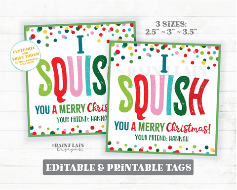 Squish You a Merry Christmas Squishies Christmas Gift Holiday Printable Kids Squishies Squishy Toy Squishee Winter Break Editable Tag