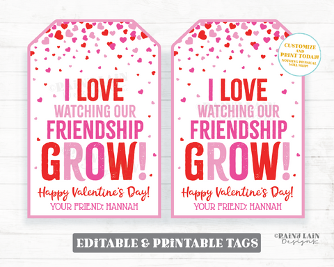 I love Watching Our Friendship Grow Valentine Tag, Expandable Grow Toy, Seeds, Plant, Preschool Classroom Kids Printable Non-Candy
