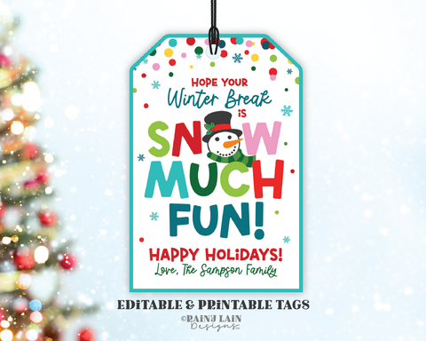 Hope Your Winter Break is Snow Much Fun Printable Gift Tag, Holiday From Teacher, Student, Kids, Preschool Christmas Party Favor, Editable