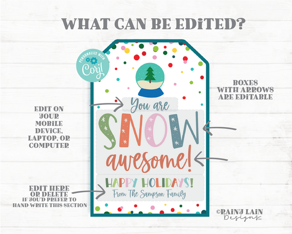 You Are Snow Awesome Tag Holiday Thank you Gift Christmas Appreciation Teacher Staff Employee Friend Teammate Classmate Co-Worker Neighbor