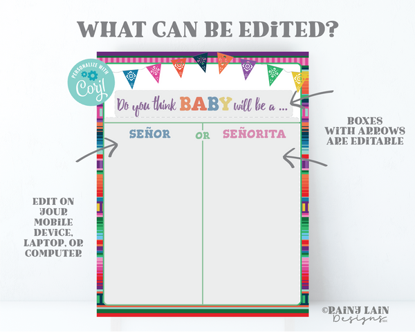 Fiesta Gender Reveal Voting Poster Señor or Señorita Gender Reveal Voting Sign Serape Papel Picado Cast Your Vote Game Printable Editable