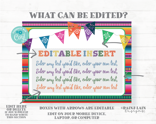 Fiesta Insert Invitation Baby Shower Books for Baby Diaper Raffle Information Details Bridal Birthday Editable Printable Serape Papel Picado