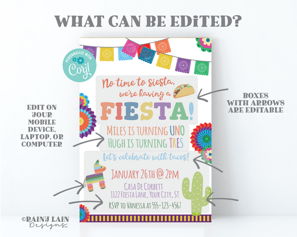 Joint Birthday Fiesta Invite, Sibling Fiesta Invitation, Joint Birthday Party Invitation, No time to siesta we're having a fiesta, Piñata