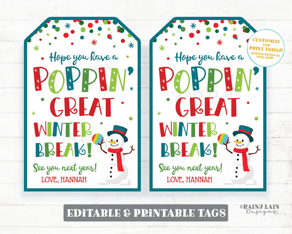Poppin Great Winter Break Tag Pop It Gift Popping Good Holiday Popit Fidget Toy Teacher to Student Classroom Preschool Classroom Party Favor