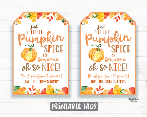 Pumpkin Spice for Someone Nice, Pumpkin Gift Tag, Homemade Pumpkin, Pumpkin Spice Tags, Teacher Coach Co-Worker Friend Neighbor Gift Favor