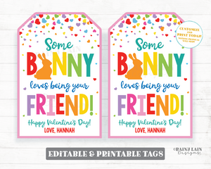 Bunny Crackers Valentine Tag Some Bunny Loves Being Your Friend Cheese Graham Snack Cheddar Bunnies Preschool Classroom Non-Candy Printable