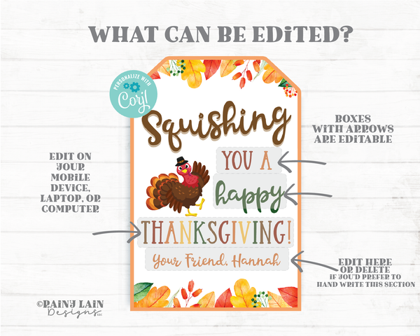 Squishing You a Happy Thanksgiving Tag Squishies Squish You Squishy Toy Squishee Squeeze Student From Teacher Classmate Preschool Non-Candy