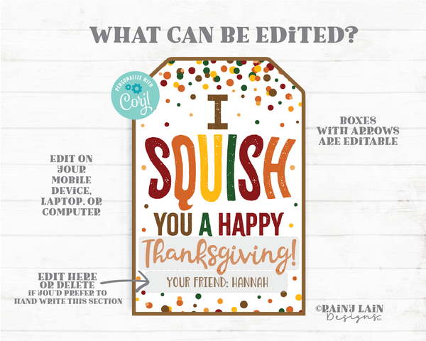 Squishie Thanksgiving Tag I squish you Happy Thanksgiving Squishy Toy Squishee Squeeze To Student From Teacher Classmate Preschool Non-Candy