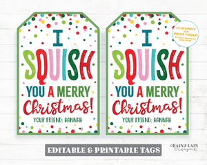 Squish You a Merry Christmas Squishy Toy Squishies Christmas Gift Squishee Holiday Printable Kids Squishies Winter Break Editable Tag