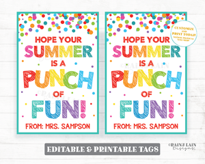 Hope your Summer is a Punch of Fun Tags End of School Year Gift Tags Fruit Punch Balloon Juice Preschool Classroom Printable Kids Teacher