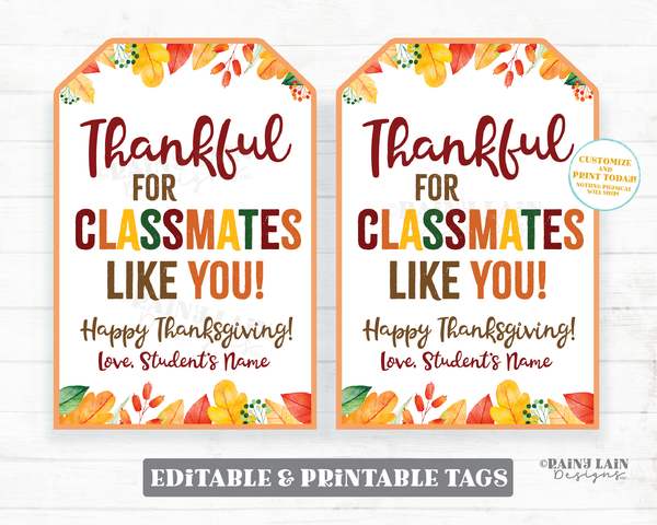 Thankful for Classmates Like You Tags, Thankful Tags, Pie Tags, Thanksgiving Gift Tag Friends Co-Worker School Class thanksgiving gift