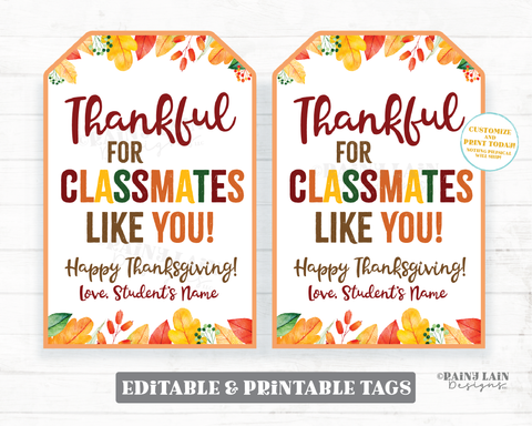 Thankful for Classmates Like You Tags, Thankful Tags, Pie Tags, Thanksgiving Gift Tag Friends Co-Worker School Class thanksgiving gift