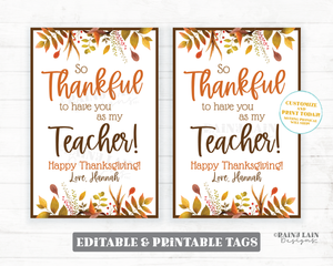 Thankful to have you as my Teacher Friend Co-Worker Employee Teammate Classmate Thanksgiving Gift Tag Appreciation Favor PTO Thank you Treat
