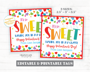 Sweet Having You in My Class Valentine Treat Tag From Teacher to Student Friend Preschool Classroom Printable Kids Easy Valentine Favor Gift