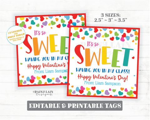 Sweet Having You in My Class Valentine Treat Tag From Teacher to Student Friend Preschool Classroom Printable Kids Easy Valentine Favor Gift