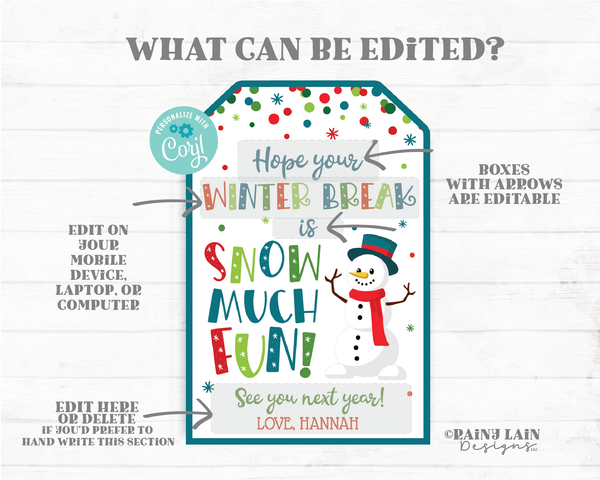 Hope your Winter Break is Snow Much Fun Tag From Teacher Holiday Gift Tag Printable Kids Christmas Student Preschool Classroom Party Favor